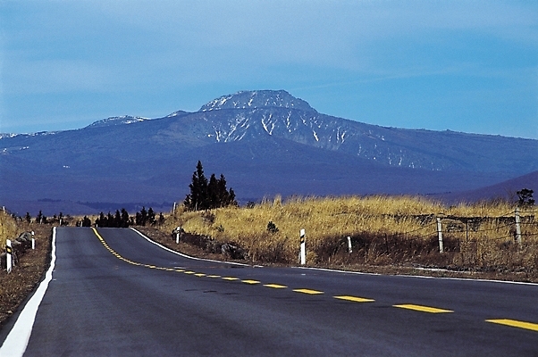 포토 JPG 주간 나무 식물 시설물 현대건축 건축 도로 길 자연 하늘 산 풍경 사람없음 야외 원근감 차도 차선_도로 국내포토 자연요소 건축물 뷰포인트 교통시설 생태계 파일형식