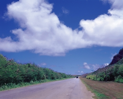 포토 JPG 주간 나무 식물 구름 시설물 현대건축 건축 도로 길 육상교통 교통수단 교통 한대 자동차 자연 하늘 풍경 사람없음 야외 원근감 국내포토 자연요소 1 건축물 뷰포인트 교통시설 생태계 파일형식