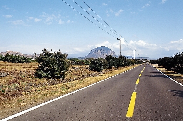 포토 JPG 주간 나무 식물 구름 도로 길 자연 하늘 산 그림자 풍경 사람없음 야외 차도 전선 전봇대 차선_도로 국내포토 자연요소 공공시설 교통시설 생태계 파일형식