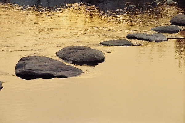 포토 JPG 주간 호수 자연 풍경 사람없음 야외 물 강 돌_바위 돌다리 징검다리 가교 국내포토 자연요소 건축물 다리_건축물 생태계 파일형식