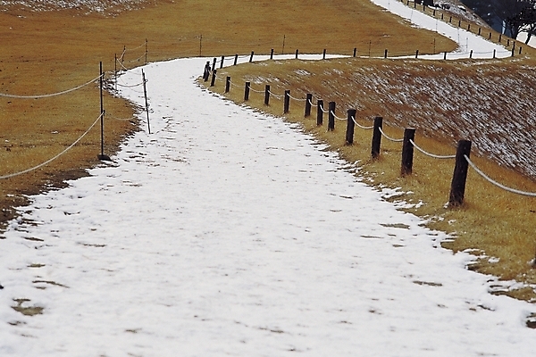 포토 JPG 주간 나무 식물 계절 길 겨울 자연 풍경 사람없음 야외 울타리 산책로 원근감 눈 커브길 눈길 국내포토 자연요소 도로 뷰포인트 날씨 눈_날씨 담장 생태계 파일형식