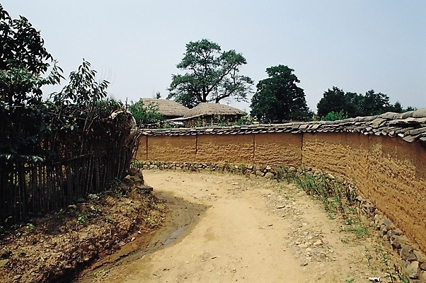 포토 JPG 주간 나무 식물 한국전통 길 벽 고건축 한국건축 자연 한옥 주택 초가집 기와 풍경 사람없음 야외 울타리 담장 커브길 토담 흙담 국내포토 자연요소 전통 건축물 건축 도로 한국 건물 생태계 파일형식