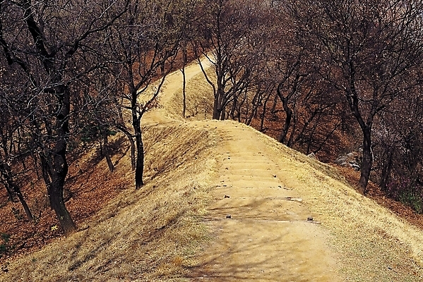 포토 JPG 주간 나무 식물 계절 길 겨울 자연 산 풍경 사람없음 야외 계단 산책로 숲 등산로 내리막 입동 국내포토 자연요소 등산 절기 생태계 파일형식