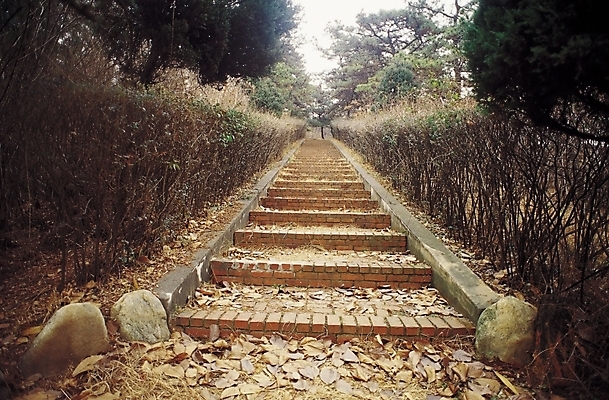 포토 JPG 주간 나무 식물 계절 길 낙엽 자연 풍경 사람없음 야외 계단 가을풍경 산책로 원근감 가을 돌_바위 등산로 국내포토 자연요소 뷰포인트 잎 등산 생태계 파일형식 가을_계절