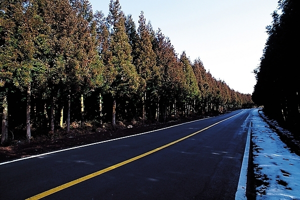 포토 JPG 주간 나무 식물 시설물 계절 현대건축 건축 도로 길 겨울 교통시설 자연 하늘 풍경 사람없음 야외 원근감 차도 눈 숲 가로수 입동 차선_도로 국내포토 자연요소 건축물 뷰포인트 교통 날씨 절기 시설 생태계 파일형식