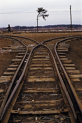 포토 JPG 주간 나무 식물 시설물 현대건축 건축 길 교통시설 자연 하늘 산 한명 풍경 야외 기찻길 원근감 갈림길 전봇대 갈래길 철도의날 국내포토 자연요소 1 건축물 공공시설 뷰포인트 교통 사람 시설 생태계 파일형식 법정기념일