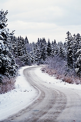 포토 JPG 주간 나무 식물 시설물 계절 현대건축 건축 도로 길 설경 겨울 교통시설 자연 하늘 산 눈꽃 풍경 사람없음 야외 원근감 눈 커브길 숲 대설 국내포토 자연요소 건축물 뷰포인트 교통 날씨 눈_날씨 절기 시설 생태계 파일형식