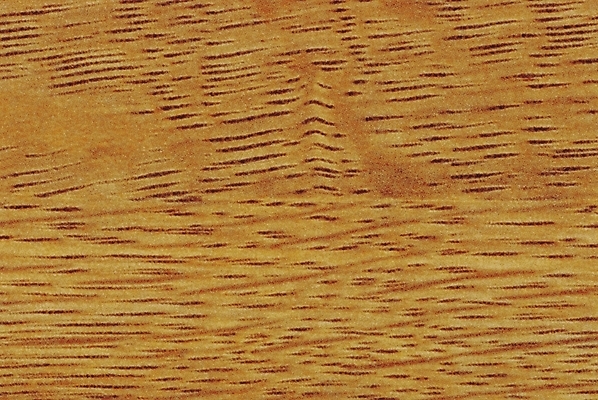 포토 JPG 나무 백그라운드 무늬 패턴 사람없음 목재 결 국내포토 식물 재료 파일형식