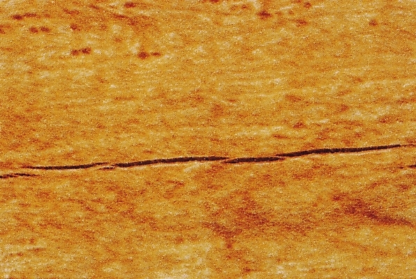 포토 JPG 나무 백그라운드 무늬 패턴 사람없음 목재 균열 결 국내포토 식물 재료 모션 파일형식