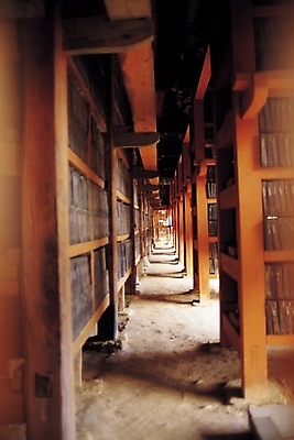 포토 JPG 한국문화 한국전통 전통 전통문화 문화 종교시설 유물 실내 그림자 사람없음 아웃포커스 원근감 세계문화유산 문화재 세계유산 사찰 국보 통로 경전 불교경전 팔만대장경 해인사 활자판 국내포토 동양문화 종교 뷰포인트 불교 종교건축 한국 촬영기법 내부 책 시설 인쇄판 합천 파일형식