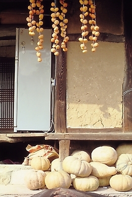 포토 JPG 주간 식물 한국문화 한국전통 전통 건축 문화 고건축 채소 과일 한국건축 식재료 자연 호박 주택 건조 감 풍경 사람없음 야외 문 동양건축 농촌 시골 마루 시골집 냉장고 곶감 건과일 디딤돌 툇마루 국내포토 자연요소 동양문화 건축물 바닥 한국 건물 가전제품 돌_바위 마루_인테리어 생태계 파일형식 동양