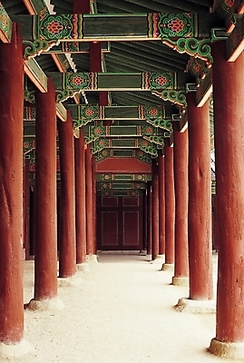포토 JPG 주간 한국문화 한국전통 전통 시설물 건축물 건축 전통문화 문화 고건축 한국건축 사람없음 야외 동양건축 궁전 원근감 세계문화유산 문화재 기둥 통로 단청 목조 창덕궁 국내포토 자연요소 동양문화 뷰포인트 한국 파일형식 동양