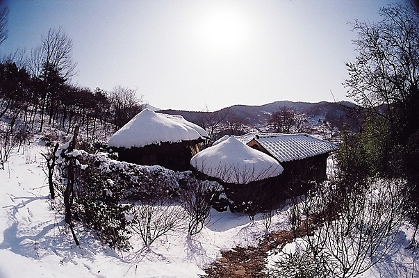 포토 JPG 주간 나무 식물 한국문화 한국전통 전통 시설물 계절 건축 문화 고건축 겨울 한국건축 지붕 산 주택 초가집 기와 기와집 풍경 사람없음 야외 동양건축 농촌 시골 눈 시골집 국내포토 자연요소 동양문화 건축물 날씨 한옥 한국 건물 파일형식 동양