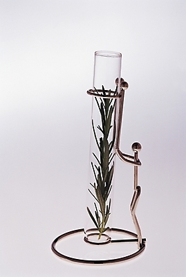 포토 JPG 스튜디오촬영 식물 과학 실내 실험기구 실험 사람없음 장식 도구 풀 시험관 유리관 국내포토 내부 파일형식