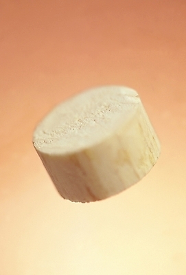 포토 JPG 스튜디오촬영 식물 조각 실내 사람없음 목재 아웃포커스 한개 오브젝트 원기둥 나무토막 나무조각 나무통 토막 국내포토 나무 1 재료 촬영기법 통 내부 원형 파일형식