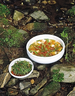 포토 JPG 식물 한국문화 한국전통 웰빙 한식 음식 반찬 김치 이끼 요리 사람없음 야외 물 돌_바위 바위 풀 나물 무침 물김치 나박김치 무침요리 국내포토 자연요소 동양문화 전통 채소 한국 파일형식