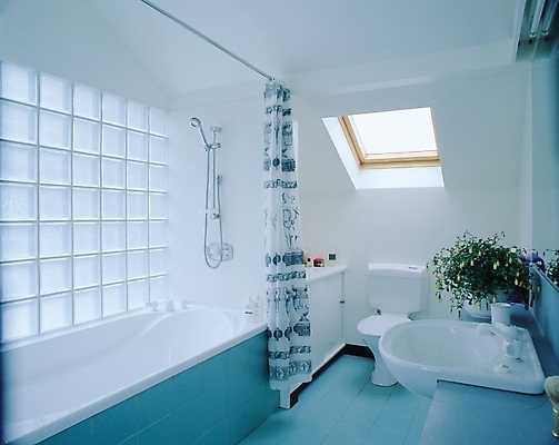 포토 JPG 식물 시설물 웰빙 현대건축 건축 꽃 화분 창문 욕조 실내 사람없음 장식 인테리어 거울 욕실 커튼 타일 세면대 화장실 건축자재 샤워기 변기 샤워용품 양변기 타일바닥 국내포토 건축물 디자인 생활용품 바닥 내부 파일형식