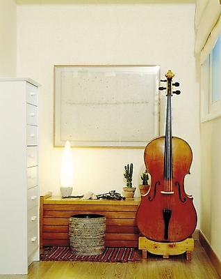 포토 JPG 식물 웰빙 화분 악기 음악 가구 액자 의자 창문 현악기 조명 선인장 실내 사람없음 장식 인테리어 스탠드 커튼 서랍장 첼로 장식대 국내포토 디자인 생활용품 문화예술 내부 파일형식 찰현악기