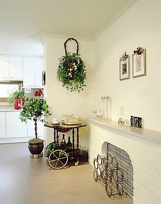 포토 JPG 식물 그릇 웰빙 현대건축 꽃 화분 벽 생활용품 액자 거실 탁자 주방용품 술병 벽돌 선반 실내 사람없음 장식 인테리어 주방 찬장 오브젝트 싱크대 통로 벽난로 벽장식 국내포토 식기 디자인 건축 가구 병_용기 주류 내부 개수대 파일형식