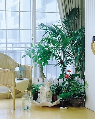 포토 JPG 식물 시설물 웰빙 현대건축 건축 화분 거실 의자 창문 유리병 조명 바닥 실내 사람없음 장식 울타리 인테리어 조각상 커튼 마루 물병 유리문 국내포토 건축물 디자인 가구 병_용기 내부 담장 조형물 문 물통 파일형식