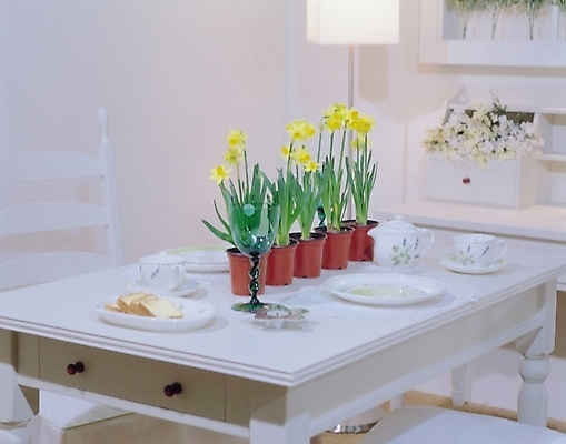 포토 JPG 식물 접시 시설물 웰빙 현대건축 건축 꽃 화분 가구 와인잔 의자 초 식탁 탁자 주전자 조명 잔 선반 실내 사람없음 장식 컵 인테리어 주방 식사 스탠드 커피잔 찻잔 상차림 찻주전자 컵받침 다과 다과상 국내포토 식기 건축물 디자인 커피 생활용품 술잔 주방용품 디저트 내부 받침대 파일형식