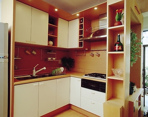 포토 JPG 식물 그릇 웰빙 현대건축 화분 주전자 술병 조명 선반 실내 사람없음 장식 컵 인테리어 문 주방 가스레인지 찬장 개수대 싱크대 조리대 건축자재 냉장고 국내포토 식기 디자인 건축 가구 주방용품 병_용기 주류 내부 가전제품 레인지 파일형식