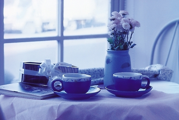 포토 JPG 식물 시설물 웰빙 건축 꽃 화분 의자 창문 식탁 탁자 잔 실내 선물 사람없음 아웃포커스 장식 책 컵 선물상자 인테리어 꽃병 식탁보 커피잔 찻잔 컵받침 오브젝트 두잔 국내포토 식기 건축물 디자인 커피 가구 2 촬영기법 내부 상자 받침대 파일형식