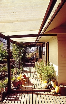 포토 JPG 주간 나무 식물 동물 한마리 해외풍경 웰빙 화분 반려견 호박 바닥 그림자 장화 사람없음 야외 장식 반려동물 인테리어 문 정원 발코니 마루 개 현관문 원예 반려 국내포토 자연요소 1 해외 디자인 신발 채소 포유류 풍경 취미 파일형식