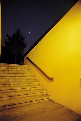 포토 JPG 나무 식물 해외풍경 시설물 건축물 현대건축 건축 벽 야경 난간 사람없음 야외 계단 달 달밤 건축부분 저녁 국내포토 자연요소 해외 풍경 야간 파일형식 풍경_경치