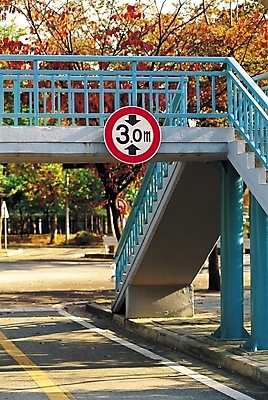 포토 JPG 주간 나무 식물 도로 교통시설 자연 그림자 풍경 사람없음 야외 도시풍경 계단 차도 도시 도로표지판 육교 높이제한 차선_도로 국내포토 자연요소 길 교통 금지 다리_건축물 표지판 시설 생태계 파일형식