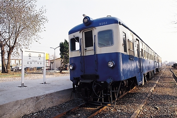 포토 JPG 주간 나무 식물 나라 아시아 육상교통 교통수단 교통 교통시설 자연 대중교통 한국 풍경 사람없음 야외 도시풍경 기찻길 기차 플랫폼 기차역 인천 소래포구 지명 철도의날 국내포토 자연요소 항구 도시 역 시설 생태계 파일형식 법정기념일