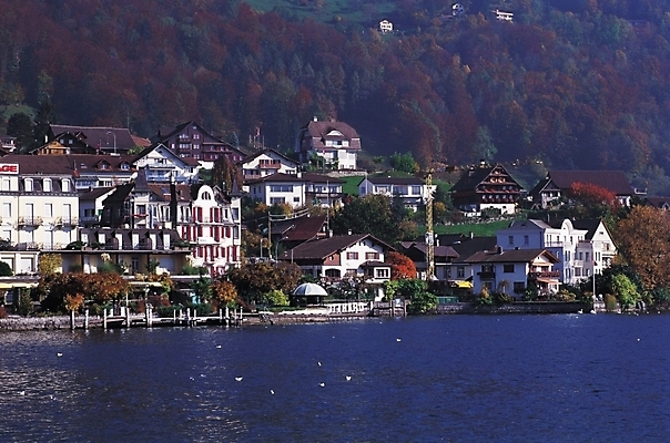 포토 JPG 주간 나무 식물 해외풍경 자연 산 주택 풍경 사람없음 야외 강 도시풍경 마을 도시 주택가 국내포토 자연요소 해외 건물 생태계 파일형식