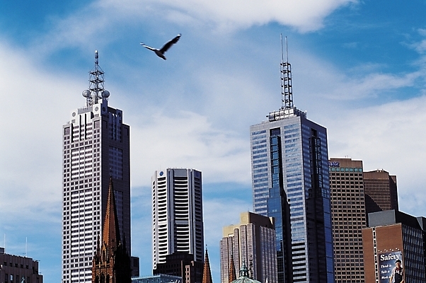 포토 JPG 주간 동물 구름 한마리 해외풍경 건축양식 자연 조류 하늘 풍경 빌딩 사람없음 야외 건물 도시풍경 고층빌딩 도시 국내포토 자연요소 1 해외 건축물 건축 생태계 파일형식