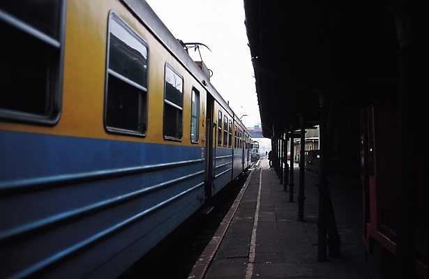 포토 JPG 주간 해외풍경 육상교통 교통수단 교통 한대 교통시설 자연 대중교통 풍경 사람없음 야외 도시풍경 기차 도시 플랫폼 기차역 국내포토 자연요소 1 해외 역 시설 생태계 파일형식
