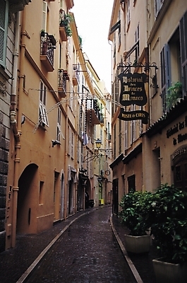 포토 JPG 주간 식물 해외풍경 건축물 화분 길 가로등 자연 거리 주택 간판 풍경 사람없음 야외 건물 도시풍경 도시 골목길 오솔길 주택가 국내포토 자연요소 해외 공공시설 건축 생태계 파일형식