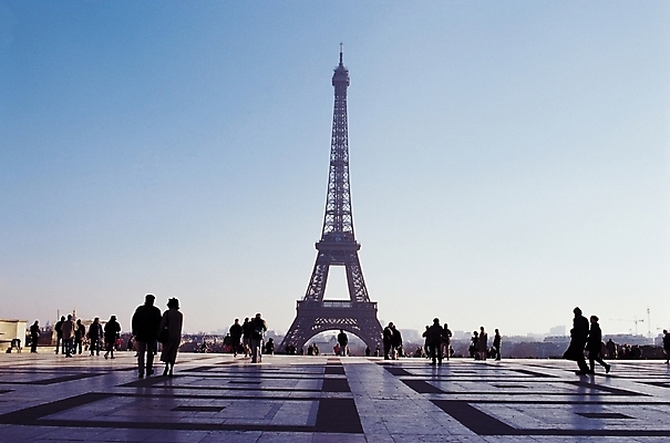 포토 JPG 주간 해외 시설물 건축물 건축 유럽 나라 여행 고건축 유럽건축 휴가 사람 여러명 야외 뒷모습 관광지 도시풍경 여행객 탑 프랑스 군중 에펠탑 광장 파리_프랑스 지명 국내포토 자연요소 뷰포인트 다수 서양건축 풍경 도시 파리 랜드마크 파일형식