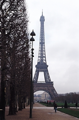 포토 JPG 주간 나무 식물 해외 시설물 건축물 공원 건축 유럽 나라 길 여행 고건축 가로등 유럽건축 휴가 거리 한명 야외 관광지 도시풍경 탑 산책 산책로 프랑스 에펠탑 파리_프랑스 휴식처 지명 국내포토 자연요소 1 공공시설 서양건축 휴식 사람 풍경 도시 파리 랜드마크 파일형식