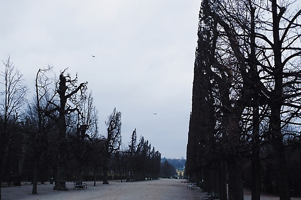 포토 JPG 주간 나무 식물 해외풍경 공원 길 자연 풍경 사람없음 야외 도시풍경 정원 산책로 도시 휴식처 국내포토 자연요소 해외 공공시설 휴식 생태계 파일형식