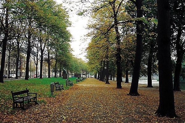 포토 JPG 주간 나무 식물 해외풍경 계절 공원 길 육상교통 교통수단 낙엽 벤치 의자 자동차 자연 풍경 사람없음 야외 건물 도시풍경 동상 조각상 가을풍경 정원 산책 산책로 쓰레기통 가을 도시 휴식처 국내포토 자연요소 해외 건축물 공공시설 가구 교통 잎 휴식 조형물 생태계 기념물 파일형식 가을_계절