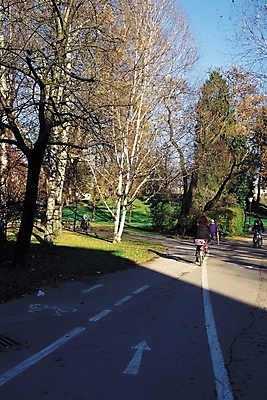 포토 JPG 주간 나무 식물 해외풍경 시설물 공원 현대건축 건축 화살표 도로 길 육상교통 교통수단 자연 그림자 풍경 여러명 야외 도시풍경 자전거 산책 산책로 승차 그늘 휴식처 차선_도로 국내포토 자연요소 해외 건축물 공공시설 다수 교통 교통시설 모션 휴식 사람 바이크 도시 생태계 파일형식