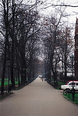 포토 JPG 주간 나무 식물 해외풍경 길 육상교통 교통수단 교통 한대 가로등 자동차 자연 풍경 여러명 야외 도시풍경 산책 산책로 가로수 휴식처 국내포토 자연요소 1 해외 공공시설 다수 휴식 사람 도시 생태계 파일형식