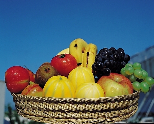 포토 JPG 식물 웰빙 토마토 과일 포도 바나나 키위 사람없음 아웃포커스 농작물 바구니 사과 청포도 참외 과일바구니 제철 제철과일 국내포토 농업 채소 촬영기법 파일형식