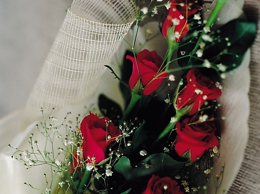 포토 JPG 식물 꽃 컬러 꽃다발 여러송이 포장 근접촬영 사람없음 아웃포커스 빨간색 장미 한다발 국내포토 뷰포인트 다수 촬영기법 파일형식