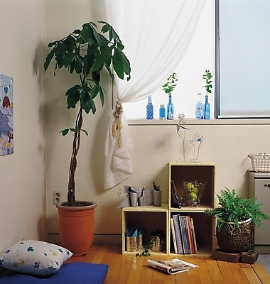 포토 JPG 식물 웰빙 화분 가구 쿠션 창문 벽돌 책장 실내 사람없음 장식 책 인테리어 꽃병 방 커튼 창가 국내포토 디자인 꽃 생활용품 내부 파일형식