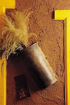 포토 JPG 식물 화분 벽 실내 갈대 사람없음 장식 인테리어 오브젝트 국내포토 디자인 내부 파일형식