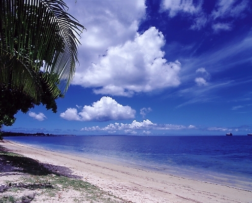 포토 JPG 주간 나무 식물 구름 교통수단 바다 수상교통 자연 하늘 그림자 풍경 해변 사람없음 야외 모래사장 야자수 그늘 열대식물 선박 국내포토 자연요소 교통 생태계 파일형식