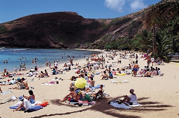 포토 JPG 주간 나무 식물 구름 계절 바다 자연 하늘 휴가 산 그림자 사람 풍경 여러명 해변 야외 여름 관광지 여름휴가 바캉스 모래사장 야자수 여행객 군중 그늘 열대식물 해수욕장 휴양지 해수욕 국내포토 자연요소 여행 다수 장소 생태계 파일형식 여름_계절