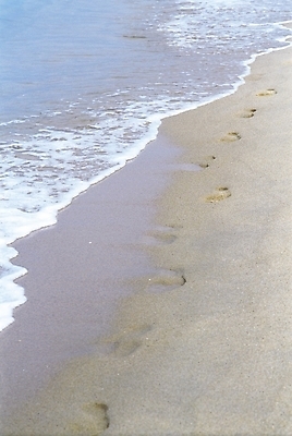 포토 JPG 주간 파도 바다 여행 자연 휴가 풍경 해변 사람없음 야외 모래사장 발자국 국내포토 자연요소 자국 생태계 파일형식