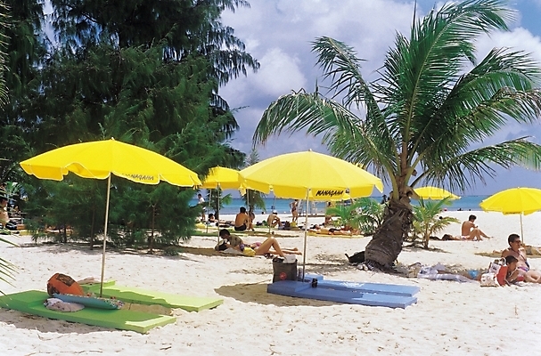 포토 JPG 주간 나무 식물 구름 웰빙 계절 바다 자연 하늘 휴가 사람 풍경 여러명 해변 야외 여름 관광지 여름휴가 바캉스 모래사장 야자수 여행객 파라솔 그늘 열대식물 해수욕장 휴양지 대서 국내포토 자연요소 여행 다수 장소 절기 생태계 파일형식 여름_계절