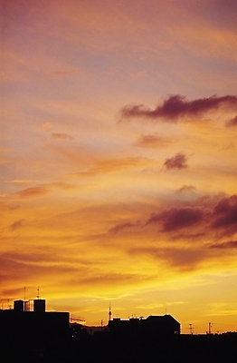 포토 JPG 구름 실루엣 자연현상 자연 하늘 풍경 사람없음 야외 건물 도시풍경 일출 노을 어둠 일몰 도시 저녁 국내포토 자연요소 건축물 촬영기법 야간 생태계 파일형식